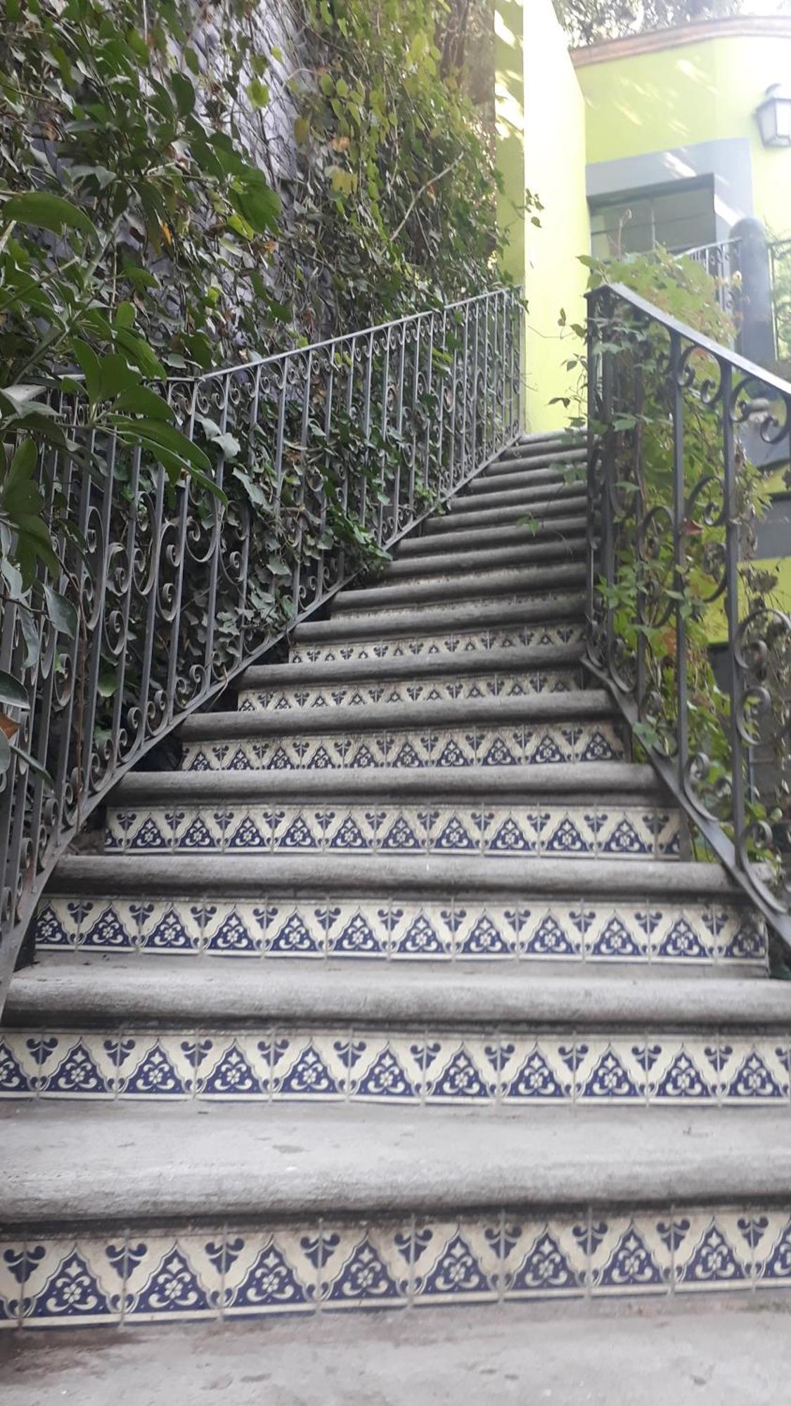 Casa Carly Hotel San Miguel de Allende Ngoại thất bức ảnh