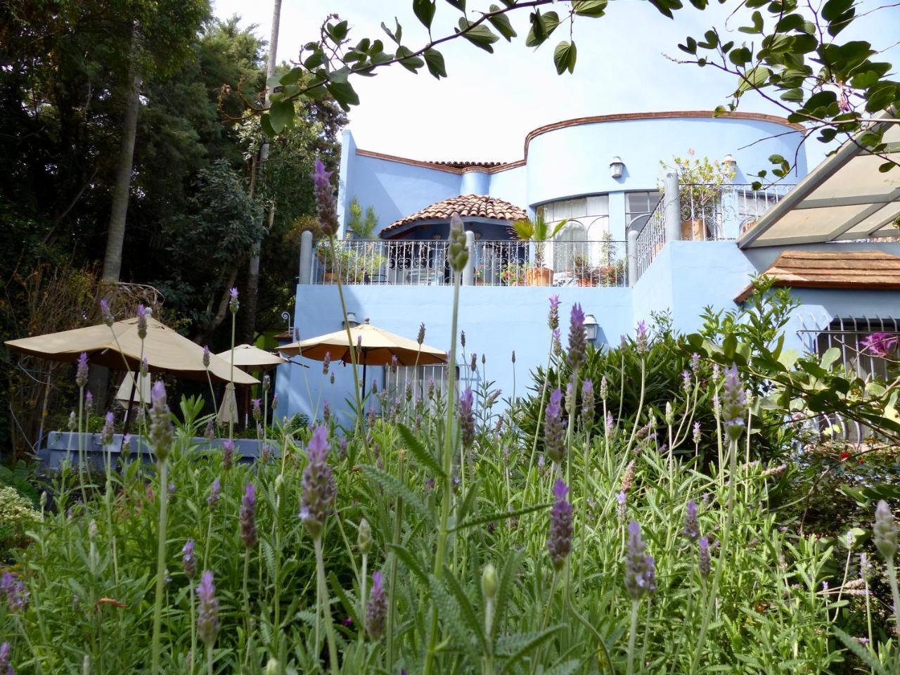 Casa Carly Hotel San Miguel de Allende Ngoại thất bức ảnh
