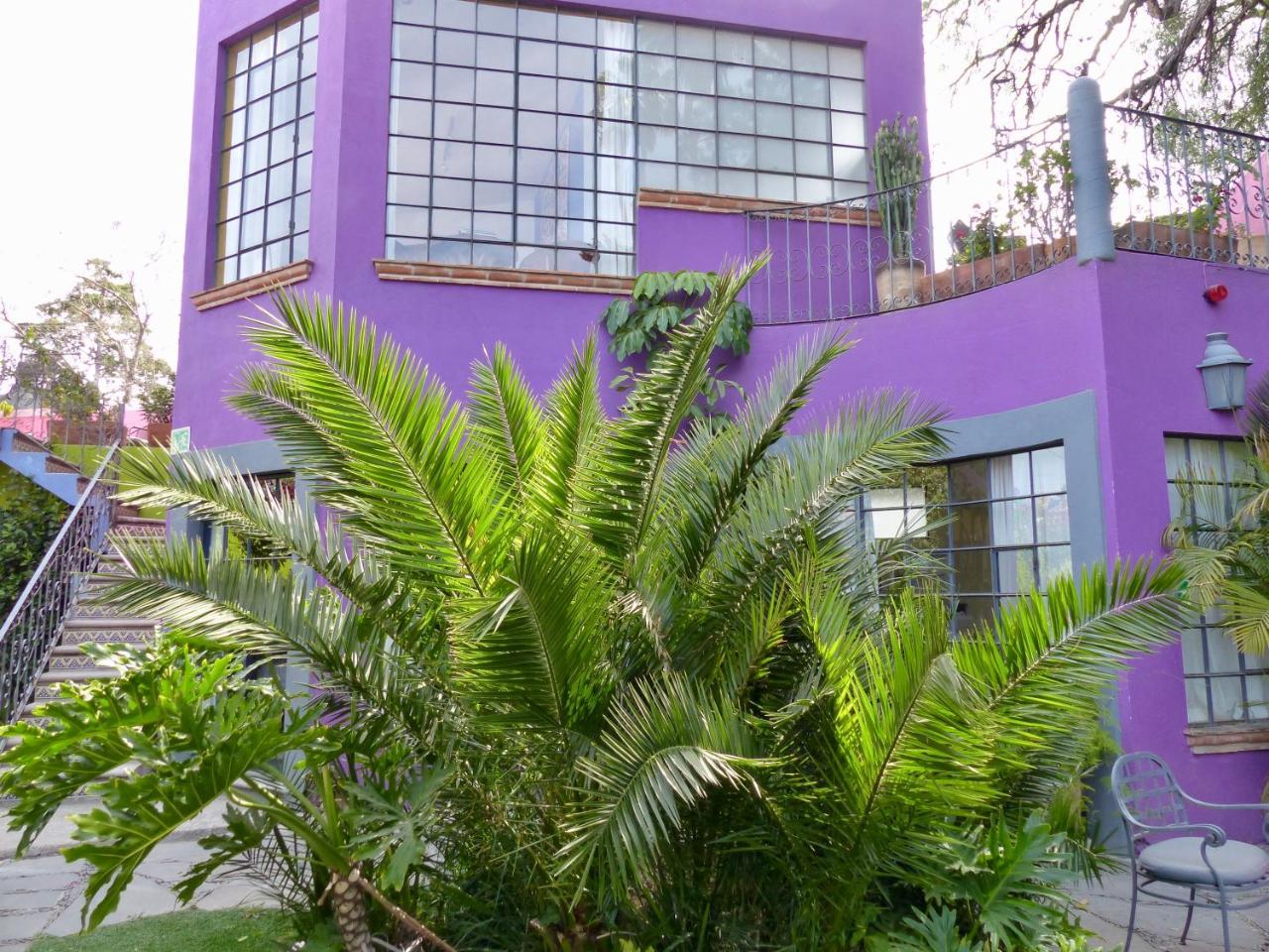 Casa Carly Hotel San Miguel de Allende Ngoại thất bức ảnh